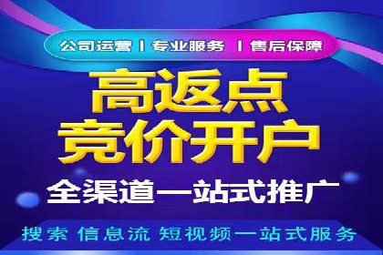 大型SEM服务公司案例分析